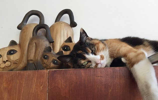 お店の置物とねねさん