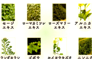 しっかり染まるのに痛まない！しかも低刺激の漢方カラー