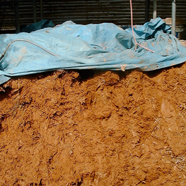 こだわりの店舗